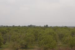 Landscape between Tafraoute and Ouarzazte, Morocco