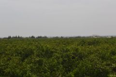 Landscape between Tafraoute and Ouarzazte, Morocco