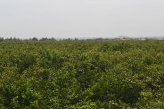 Landscape between Tafraoute and Ouarzazte, Morocco
