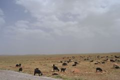 Landscape between Tafraoute and Ouarzazte, Morocco