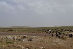 Landscape between Tafraoute and Ouarzazte, Morocco