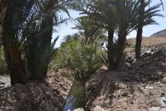 Landscape on the road between Ouarzazate and Mhamid in Morocco