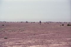 Desert landscape between Zagora and Mhamid, Morocco