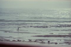 At the beach of Legzira near Sidi Ifni, Morocco