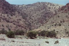 Landscape east of Tafraoute in the Anti Atlas, Morocco