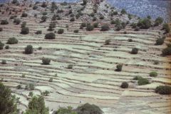 Landscape east of Tafraoute in the Anti Atlas, Morocco