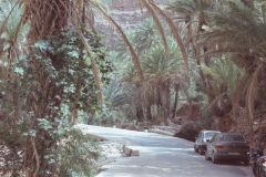 Oasis east of Tafraoute in the Anti Atlas, Morocco