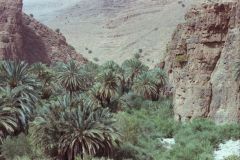 Oasis east of Tafraoute in the Anti Atlas, Morocco