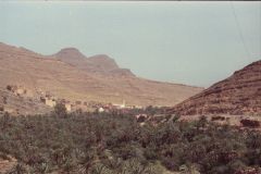 Oasis east of Tafraoute in the Anti Atlas, Morocco