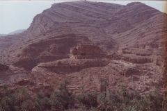 Oasis east of Tafraoute in the Anti Atlas, Morocco