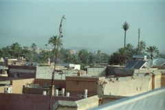 Over the roofs of Marrakesh, Morocco