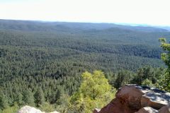 Landscape at the Tonto National Forest, Arizona, USA