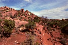 Landscape at Canyonlands National Park, Utah, USA