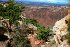 Landscape at Canyonlands National Park, Utah, USA