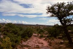 Landscape at Canyonlands National Park, Utah, USA