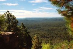 Landscape in Tonto National Forest, Arizona, USA
