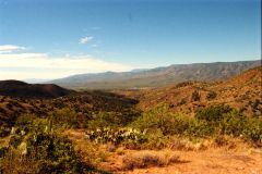 Landscape in the Sonora Desert near Mexico in Arizona, USA