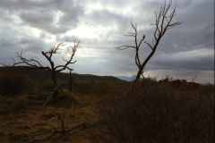 Landscape near Mesa Verde National Park, Colorado, USA