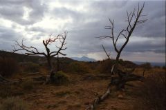 Landscape near Mesa Verde National Park, Colorado, USA