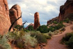 Landscape in Arches National Park, Utah, USA
