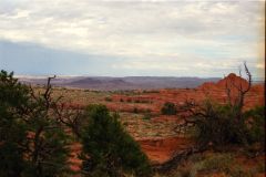 Landscape in Arches National Park, Utah, USA