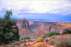 Landscape at the Canyonlands National Park, Utah, USA