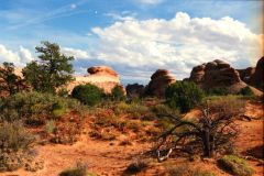 Landscape at Arches National Park, Utah, USA