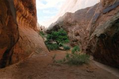 Landscape at Arches National Park, Utah, USA
