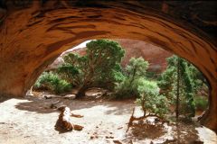 Landscape at Arches National Park, Utah, USA