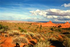 Landscape at Arches National Park, Utah, USA
