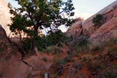 Landscape at Arches National Park, Utah, USA