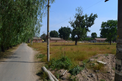 Street scene in an older suburb of Beijing, China