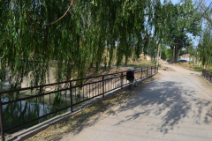 Street scene in an older suburb of Beijing, China