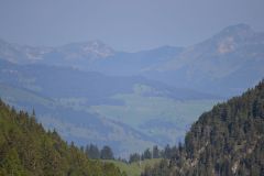 DSC_0080