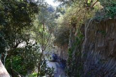 Views inside the Gole Alcantara Botanical and Geological Park, Sicily, Italy