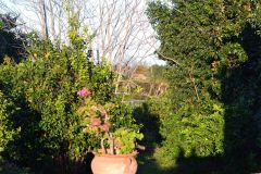 Sunny day around our house at new years eve 2016  in Sicily, Italy