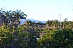 Sunny day around our house at new years eve 2016  in Sicily, Italy