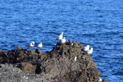 First day of 2017 in Aci Trezza (Riviera Dei Ciclopi) in Sicily, Italy
