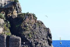 First day of 2017 in Aci Trezza (Riviera Dei Ciclopi) in Sicily, Italy