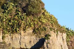 First day of 2017 in Aci Trezza (Riviera Dei Ciclopi) in Sicily, Italy