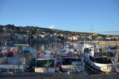 First day of 2017 in Aci Trezza (Riviera Dei Ciclopi) in Sicily, Italy