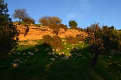 At the historic site of the Valley of Temples in Agrigent, Sicily, Italy