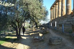 At the historic site of the Valley of Temples in Agrigent, Sicily, Italy