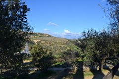 At the historic site of the Valley of Temples in Agrigent, Sicily, Italy
