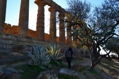 At the historic site of the Valley of Temples in Agrigent, Sicily, Italy