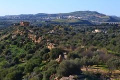 At the historic site of the Valley of Temples in Agrigent, Sicily, Italy