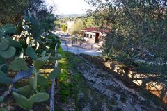 At the historic site of the Valley of Temples in Agrigent, Sicily, Italy