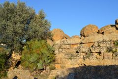 At the historic site of the Valley of Temples in Agrigent, Sicily, Italy