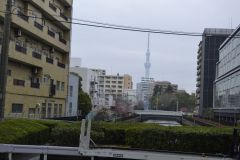 The Tokyo Sky Tree from distance in Tokyo, Japan
