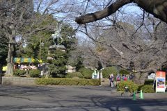 Inside a park in Tokyo, Japan